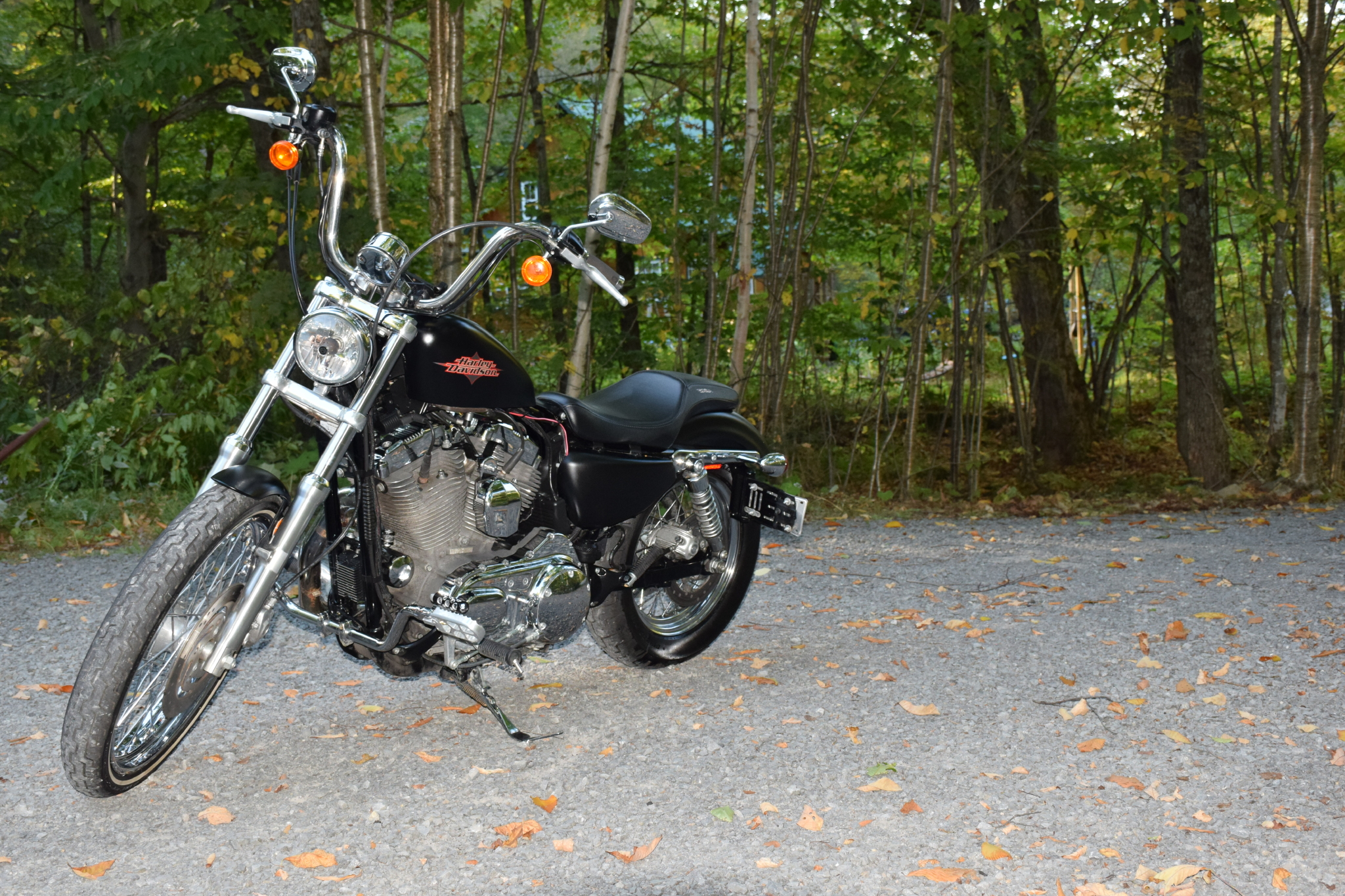 Harley Davidson Sportster