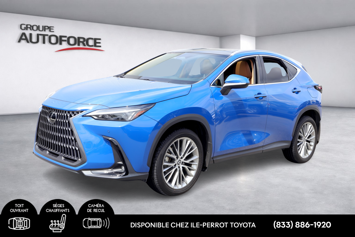 Lexus NX